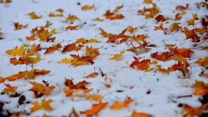 Météo en Belgique : temps doux en début de semaine avec retour de la pluie.