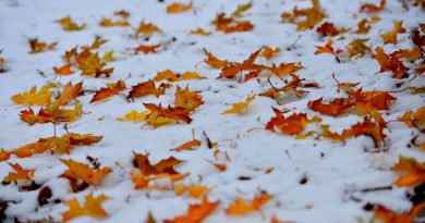 Météo en Belgique : temps doux en début de semaine avec retour de la pluie.