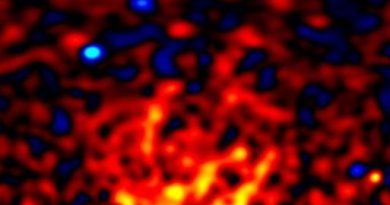 A red, yellow and blue blurry structure.