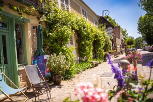 Barbizon : de colonie artistique à massif forestier protégé