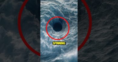 5 Phénomènes Marins Étonnants à Découvrir Absolument 🌊