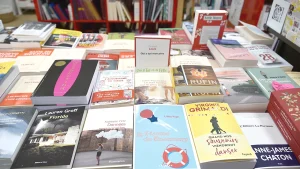 500 auteurs et 22 éditeurs de Nouvelle-Aquitaine réunis à la Foire du livre de Brive 2025 Brive et capitale des mots !