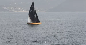 Voile : l'école des Glénans mise en examen suite au décès d'un stagiaire