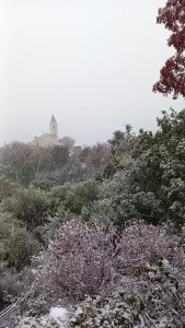 5.1K views · 122 reactions | Mairie Noceta on Reels