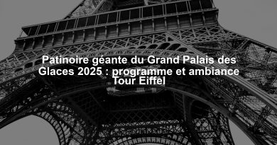 Patinoire géante du Grand Palais des Glaces 2025 : programme et ambiance Tour Eiffel