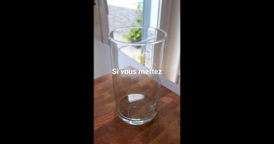 57 jours pour maigrir : Recette de mayonnaise d'avocat 🥑