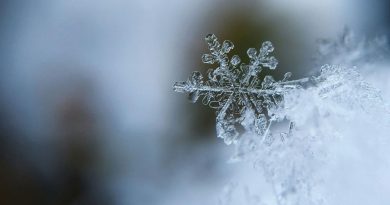 Les Esquimaux ont-ils vraiment 40 mots pour désigner la neige ? Analyse factuelle - RTBF Actus