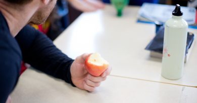 Refus de communiquer en anglais : un syndicat d'enseignants francophones en conflit judiciaire