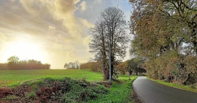 Pétition contre le projet d'aire de grand passage des gens du voyage à Guidel