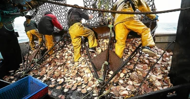 La CCI 22 célèbre 50 ans d'engagement pour la pêche en Côtes-d'Armor