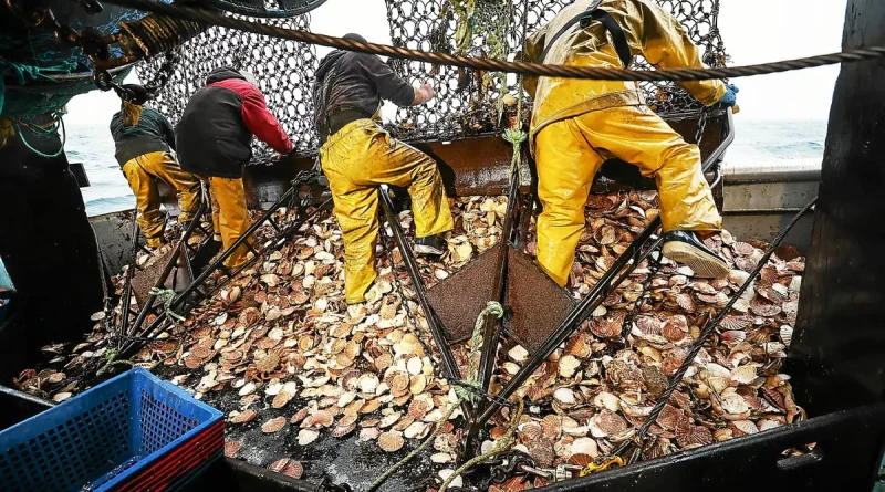 La CCI 22 célèbre 50 ans d'engagement pour la pêche en Côtes-d'Armor