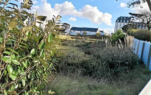 Les opposants au projet d'extension Belambra à Trégastel maintiennent leur résistance