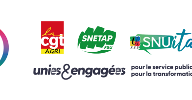 Paie d'octobre : réforme CMO, transfert prime-point et revalorisation IFSE expliqués par SNETAP-FSU