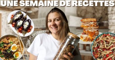 7 Recettes Végétariennes Riches en Protéines : Faciles et Économiques