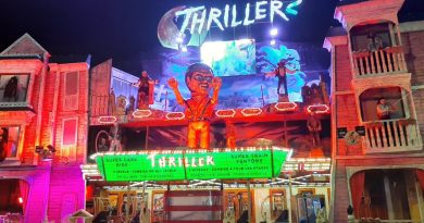 Sept sorties au Mans ce week-end : fête foraine, déstockage, festival et soirée mousse