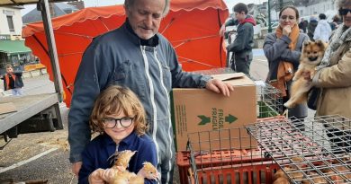 « Eure : un des derniers marchés où les gens achètent encore des volailles vivantes »