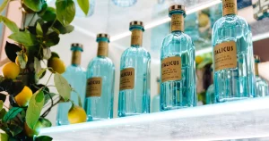 Italicus : Découverte de la bouteille bleue omniprésente dans les bars.