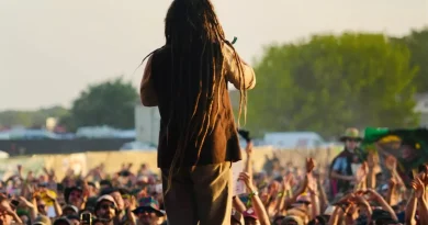 Le plus grand festival de reggae français annule son édition 2026 en raison de difficultés financières