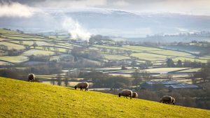 Ici le monde : une ville 'étrangers non admis' en construction au Pays de Galles