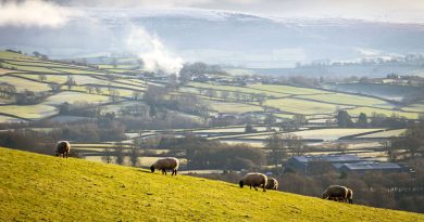 Ici le monde : une ville 'étrangers non admis' en construction au Pays de Galles