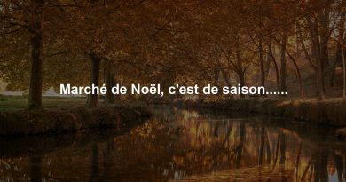 Marché de Noël, c'est de saison......
