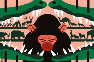 Vantara : le zoo privé d'un milliardaire indien accueillant des milliers d'animaux du monde entier