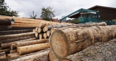 900 municipalités touchées par la crise forestière