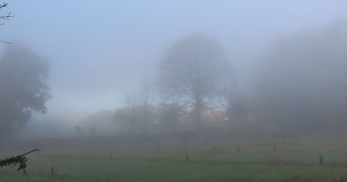Météo en Belgique : prévisions d'un week-end nuageux et pluvieux