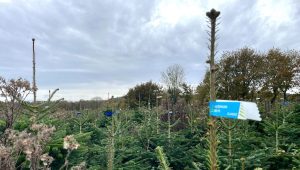 illustration agrandir l