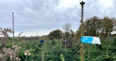 illustration agrandir l