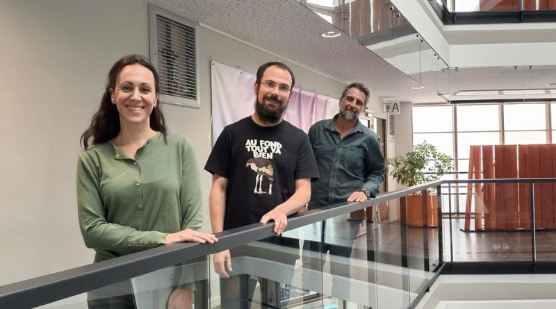 À Bordeaux, ces chercheurs qui simulent numériquement des tsunamis