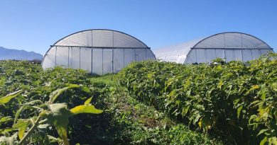 illustration agrandir l