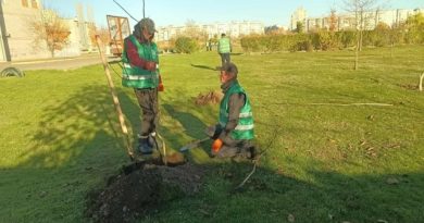 À Kherson, la vie reprend racine : 200 arbres pour le parc Tavriisky meurtri par la guerre 