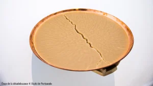 À Pau, une exposition fait renaître la mémoire pyrénéenne grâce à la cire d’abeille