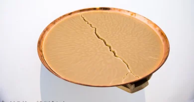 À Pau, une exposition fait renaître la mémoire pyrénéenne grâce à la cire d’abeille