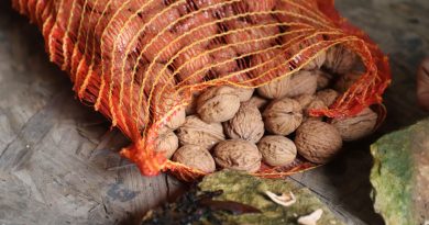 illustration agrandir l