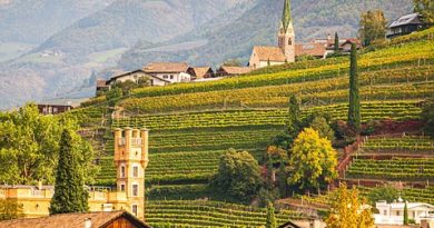 Pays de la Loire, Nantes, Angers, Loire river, castle, vineyard, coast, landscape
