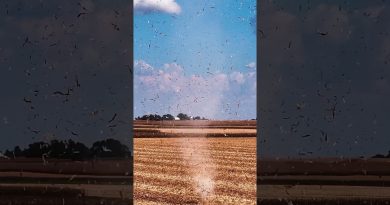 À la Poursuite du Maïs : L'Aventure Corn-Ado !