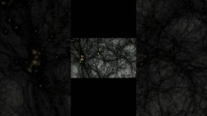 À la découverte de la matière noire