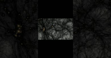 À la découverte de la matière noire