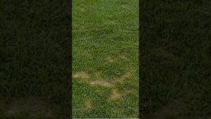 À la découverte de l'intime 🔍