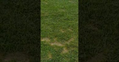 À la découverte de l'intime 🔍