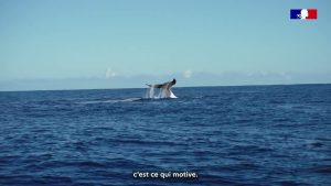 À la rencontre de Joséphine, ambassadrice du Service Civique