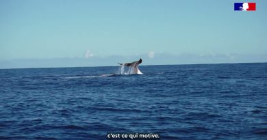 À la rencontre de Joséphine, ambassadrice du Service Civique