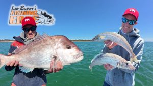 À vous de choisir : succès du Whiting ou du Snapper ?