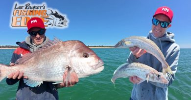 À vous de choisir : succès du Whiting ou du Snapper ?