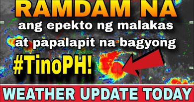 ALERTE : Signal n° 2 activé pour le typhon Tino ! 🌪️