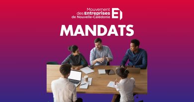 APPEL A CANDIDATURE MANDATS DU MEDEF-NC : CA DU LYCEE DE POUEMBOUT + CAFAT + CCCP