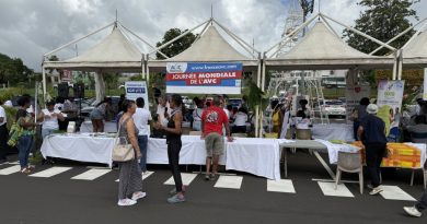 AVC en Guadeloupe : une course contre la montre pour sauver des vies
