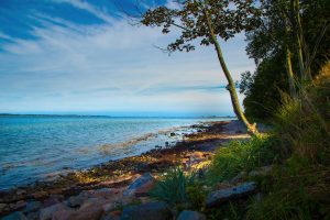 Corse, Ajaccio, Bastia, mountain, beach, sea, cliff, village, maquis, landscape